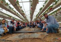 Food Security, Agriculture and Climate Change