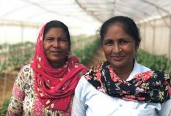 Gender Equality and Women's Empowerment