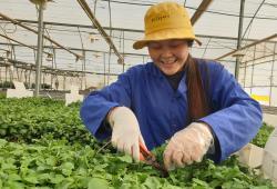 Agricultural-Program