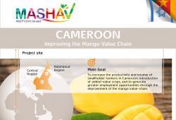 Improving the Mango Value Chain