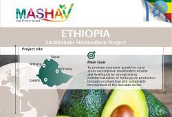 Smallholder Horticulture Project