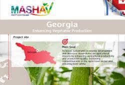 Enhancing Vegetable Production