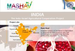 Indo-Israel Agricultural Program