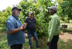 Short-Term-Agriculture